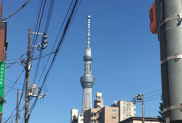 スカイツリーラン🎶