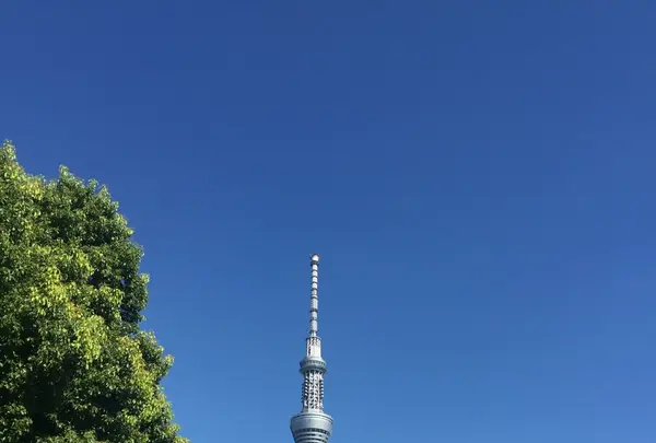 言問橋の写真・動画_image_87496