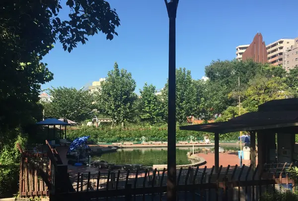 隅田公園の写真・動画_image_87498