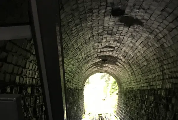ケーブル坂本駅の写真・動画_image_87530