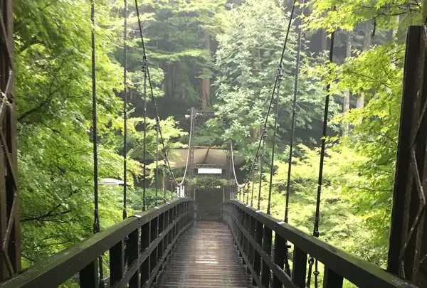 もみぢ家の写真・動画_image_87536