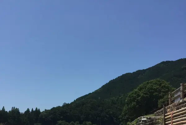 板取川洞戸観光ヤナ（株）の写真・動画_image_87610