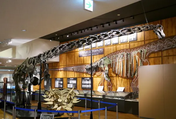 丹波竜化石工房ちーたんの館の写真・動画_image_87808