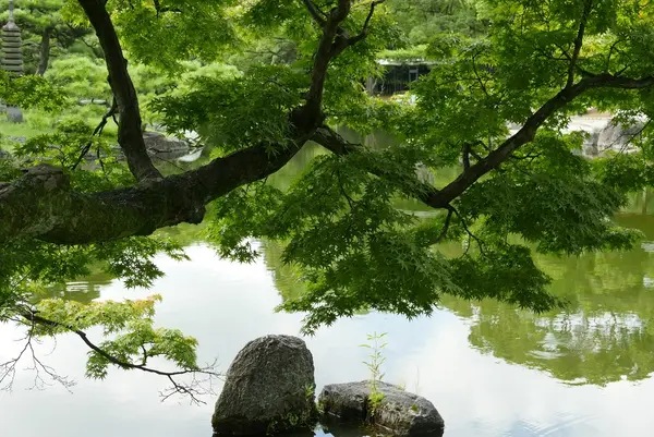 鶴舞公園の写真・動画_image_87914