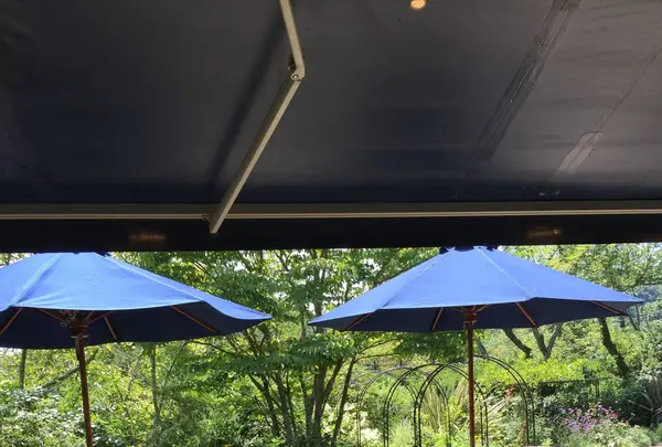 石窯ガーデンテラスの写真・動画_image_87933