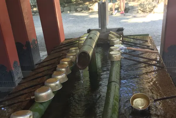 鶴岡八幡宮の写真・動画_image_87941