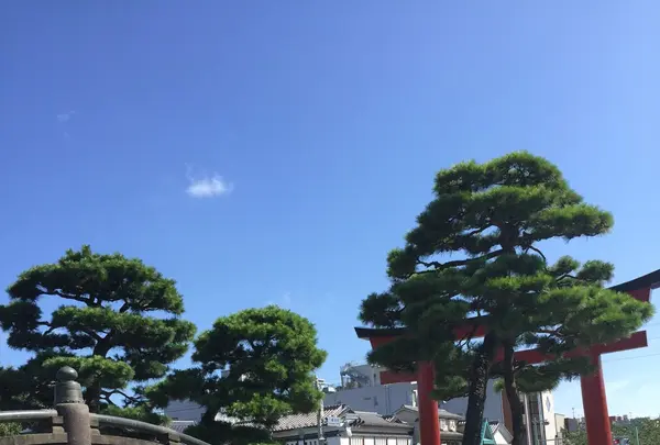 鶴岡八幡宮の写真・動画_image_87942