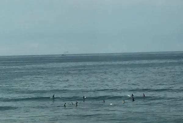 bills 七里ヶ浜の写真・動画_image_87956