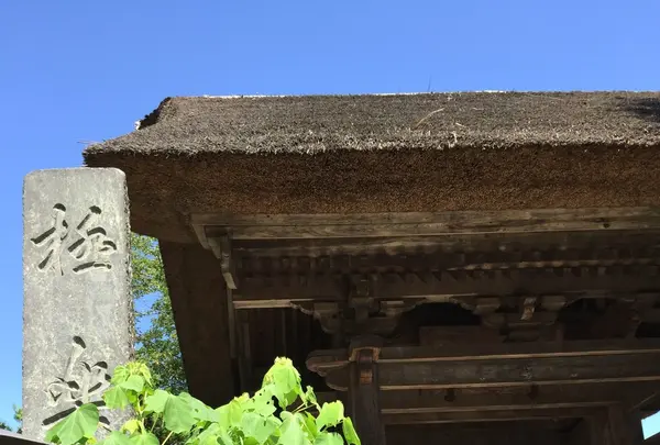 極楽寺の写真・動画_image_87960