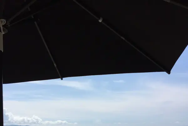 長谷寺の写真・動画_image_87965