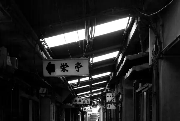 大垣駅前商店街探検の写真・動画_image_88107