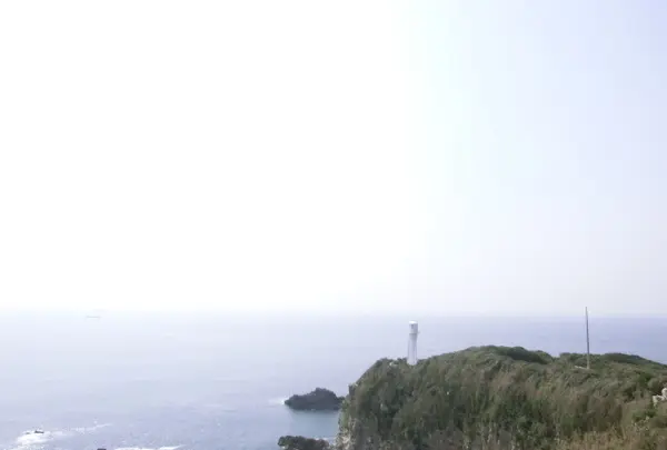 足摺岬の写真・動画_image_88125