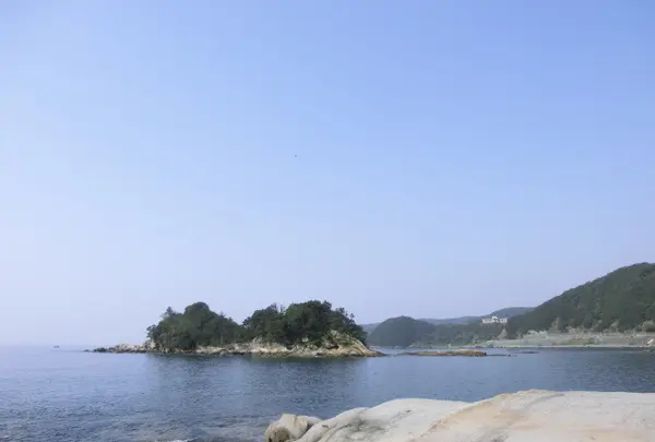 足摺海底館の写真・動画_image_88126
