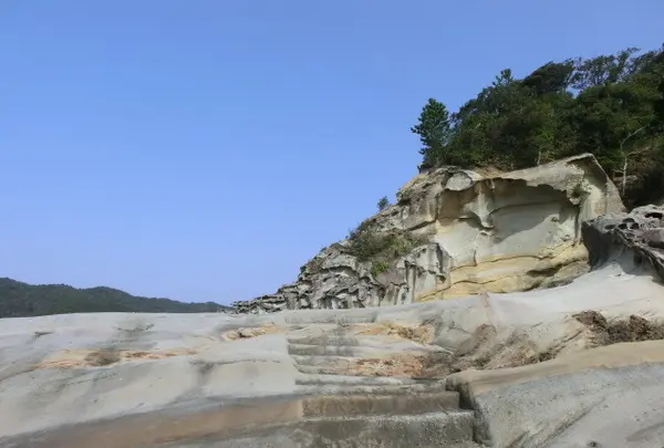 足摺海底館の写真・動画_image_88127