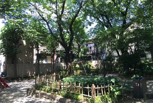 HAGI CAFE（ハギ カフェ）の写真・動画_image_88156