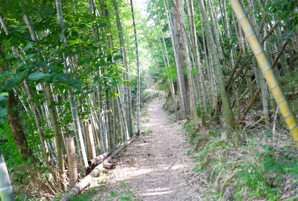 農家民宿・善の写真・動画_image_88301