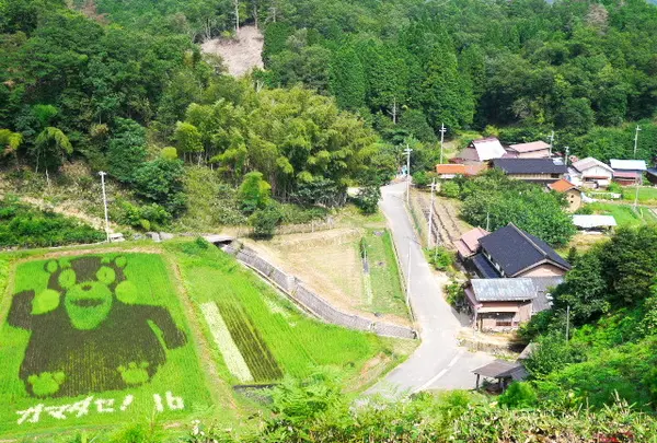 農家民宿・善の写真・動画_image_88302