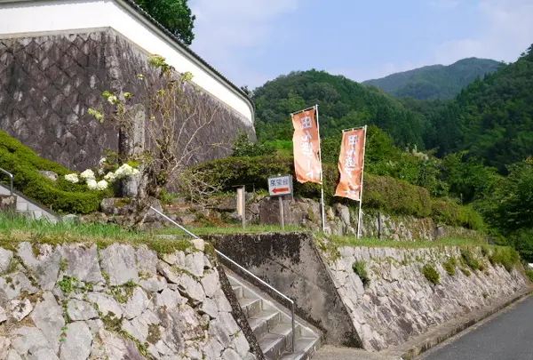 楽音寺の写真・動画_image_88308