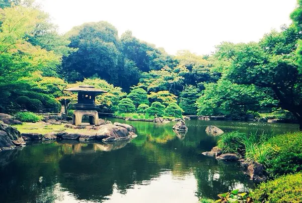 旧古河庭園の写真・動画_image_88339