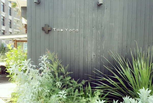Tas Yardの写真・動画_image_88447