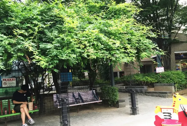 代官山公園の写真・動画_image_88605