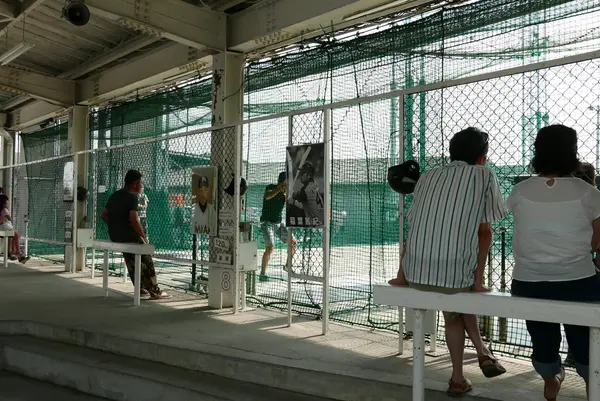 空港バッティングの写真・動画_image_88663