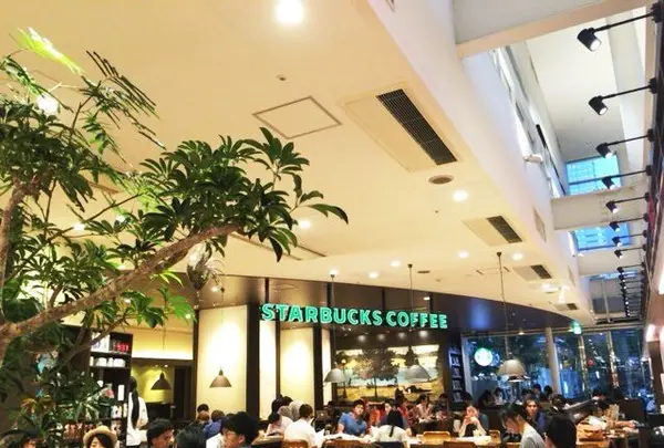 スターバックスコーヒー TSUTAYA横浜みなとみらい店の写真・動画_image_88728