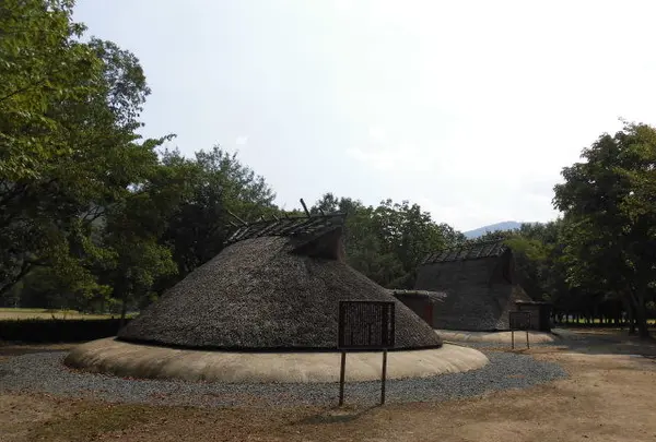 家原遺跡公園の写真・動画_image_88920