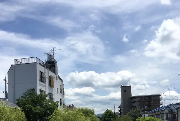 伏見十石舟の写真・動画_image_89015