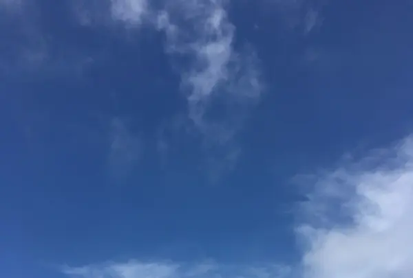美ヶ原高原美術館の写真・動画_image_89069