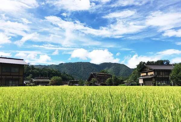 白川郷の写真・動画_image_89348