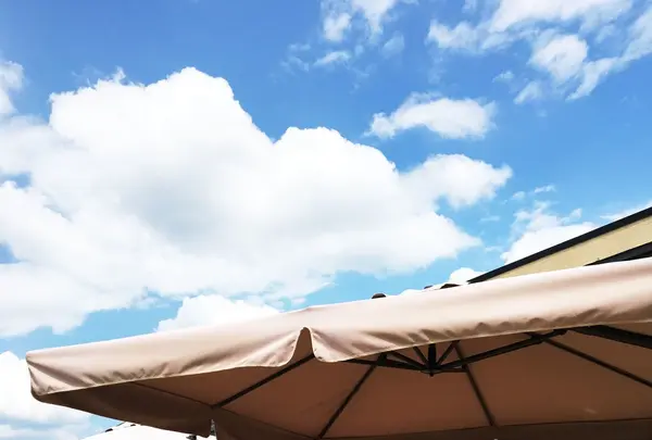 匠館の写真・動画_image_89405