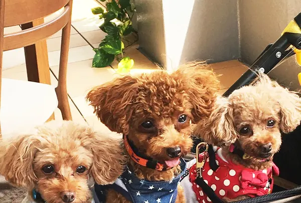 匠館の写真・動画_image_89406