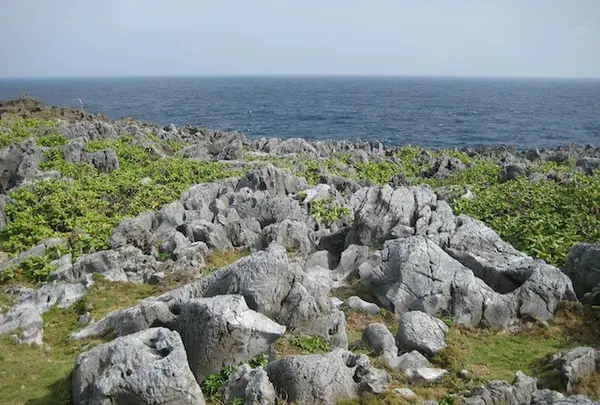 辺戸岬の写真・動画_image_89423