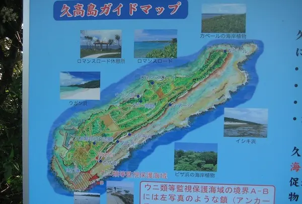 久高島の写真・動画_image_89440