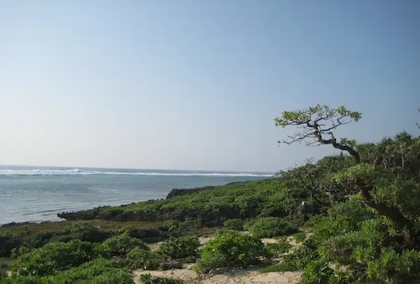 久高島の写真・動画_image_89441