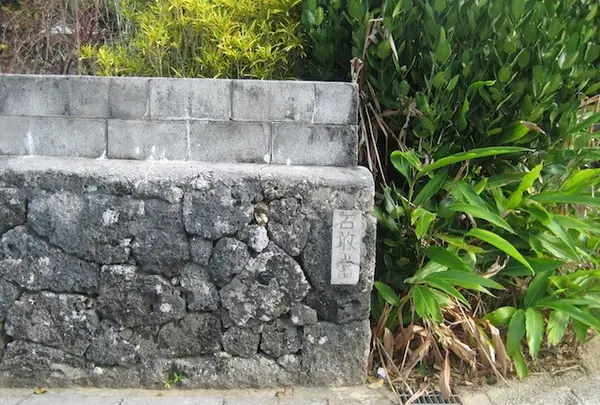 久高島の写真・動画_image_89442