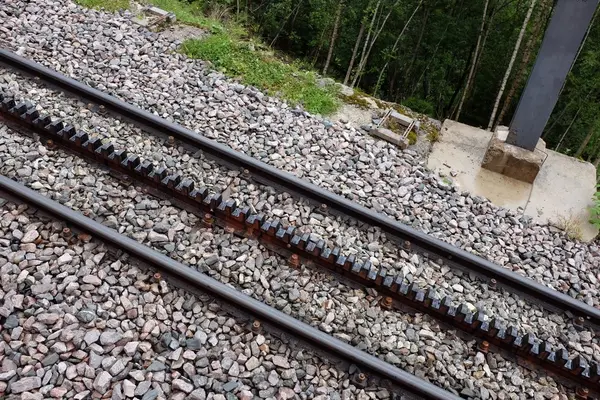 メール･ド･グラス氷河の写真・動画_image_89471