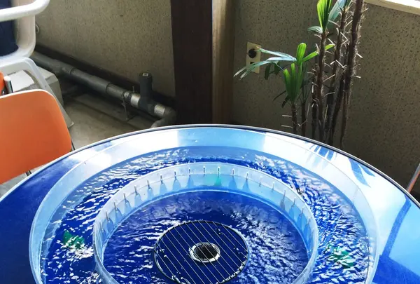 滝見亭の写真・動画_image_89529