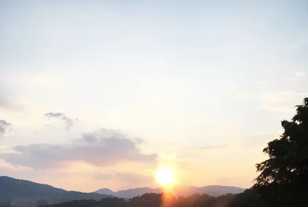 ビスキーハウス(伊豆高原 一碧湖 ペット 宿泊 愛犬宿泊 ペットと泊れる宿 ペット専門の宿 犬が喜ぶ宿 犬連れ 宿 料理が美味しいペット宿)の写真・動画_image_89581