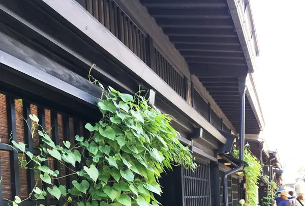 ごくらく舎・観光人力車の写真・動画_image_89631