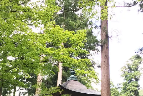 大本山永平寺の写真・動画_image_89716