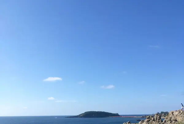 東尋坊の写真・動画_image_89748