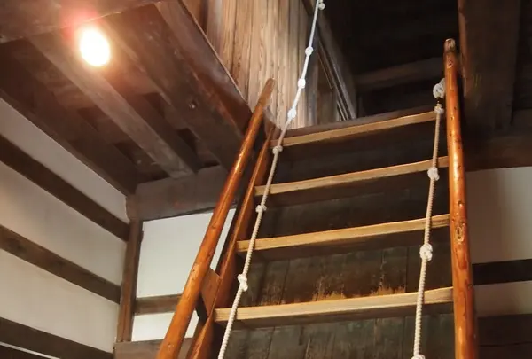 丸岡城の写真・動画_image_89760