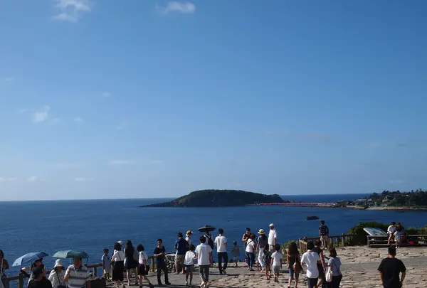 東尋坊の写真・動画_image_89775