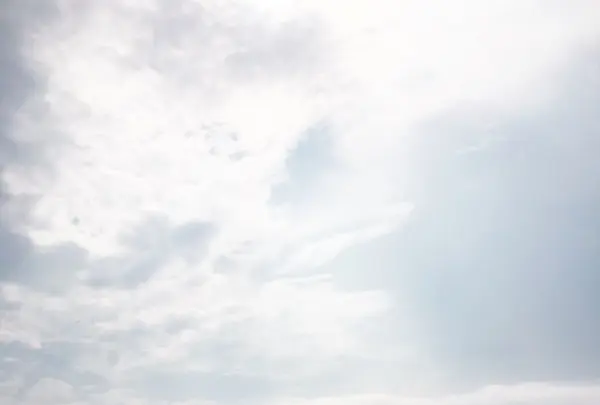 紀の国屋本店の写真・動画_image_89826