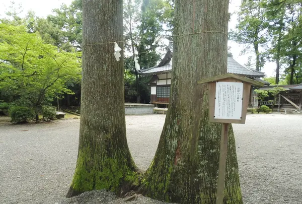 雄山神社（前立社壇）の写真・動画_image_90020