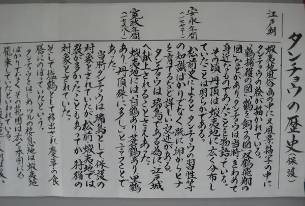 阿寒国際ツルセンターの写真・動画_image_90042