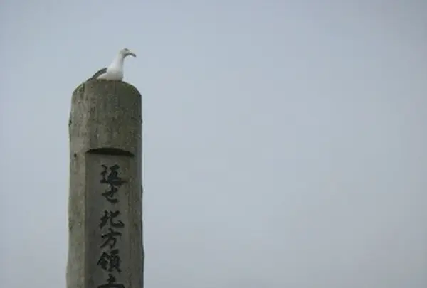 納沙布岬の写真・動画_image_90049