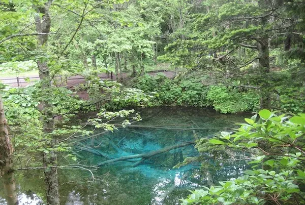 摩周湖の写真・動画_image_90070